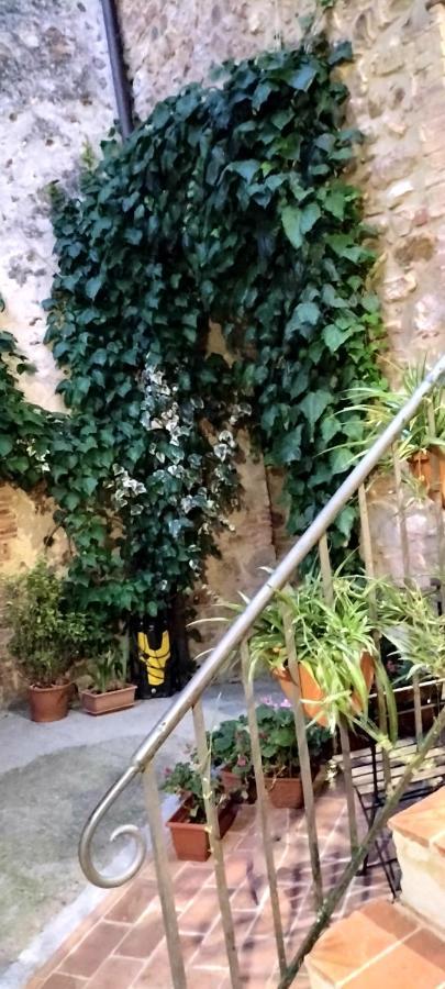 索维奇勒Antico Borgo Di Torri住宿加早餐旅馆 外观 照片